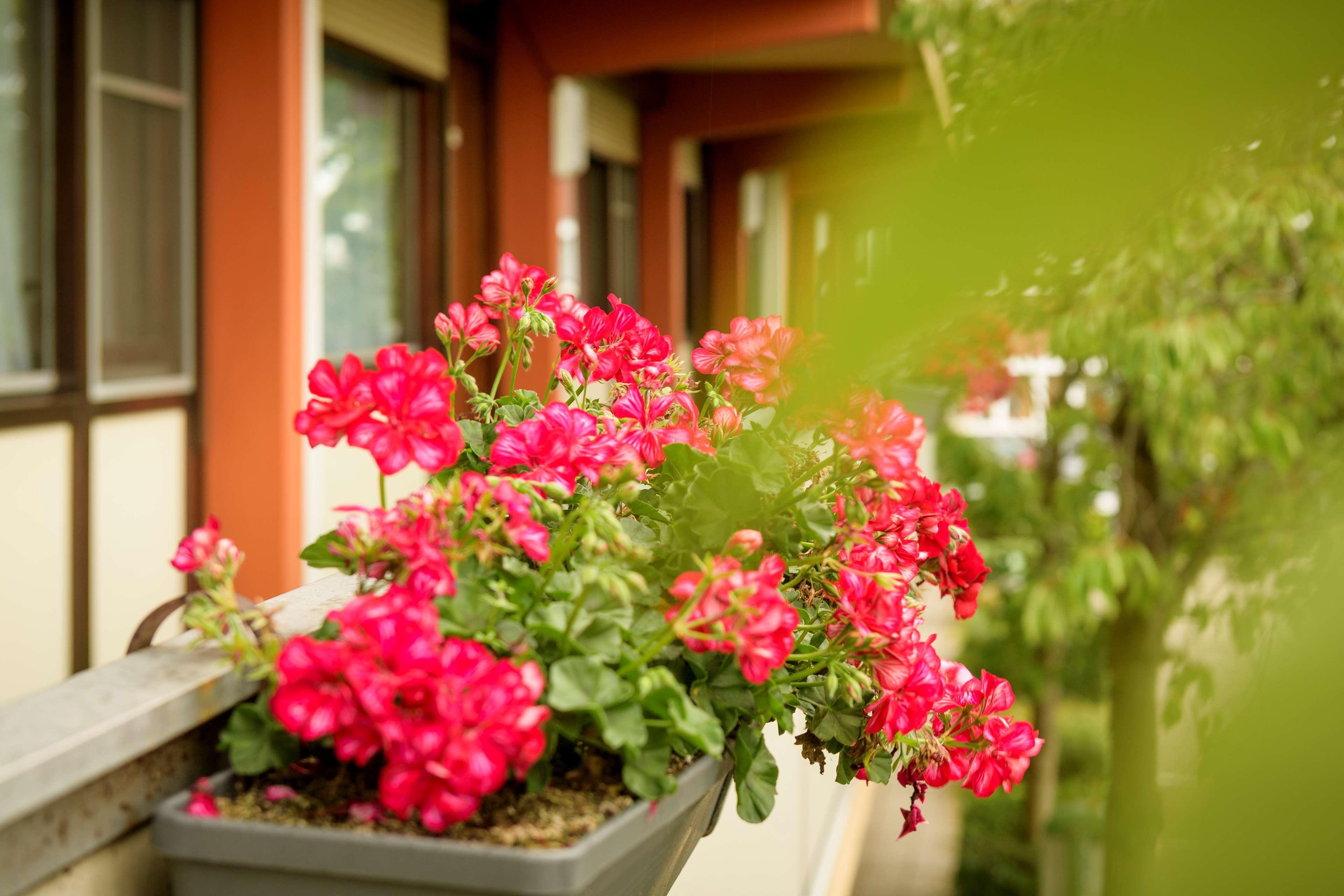 Campanile Hotel & Restaurant חורקם מראה חיצוני תמונה